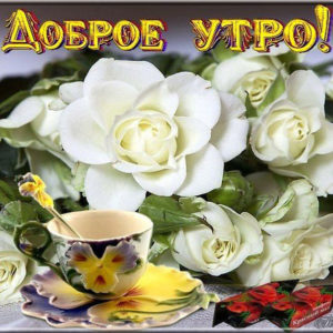 Музыкальная открытка